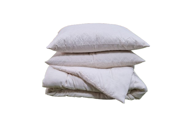 Set pilota cu doua perne